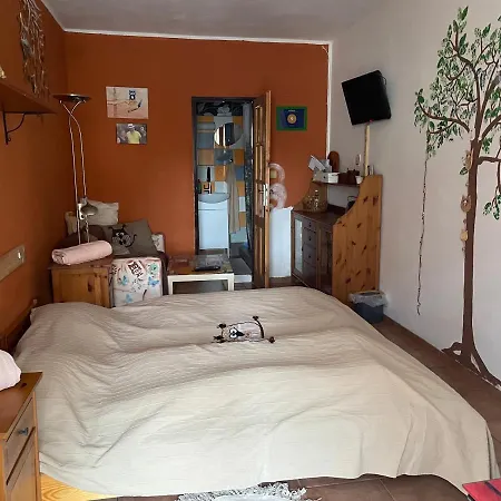 Affittacamere U Sovicky Olesnik Esterno foto