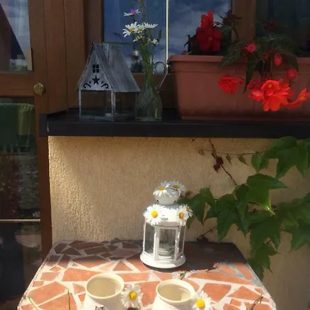 Affittacamere U Sovicky Olesnik Esterno foto